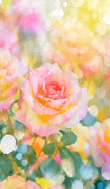 [LINE着せ替え] 薔薇(バラ)の花の着せかえ(R1466)の画像1