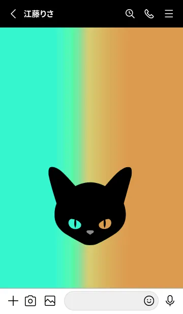 [LINE着せ替え] ブラック キャット 243の画像2