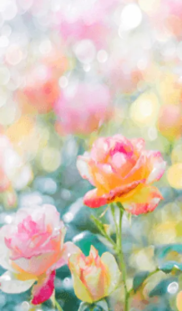 [LINE着せ替え] 薔薇(バラ)の花の着せかえ(R1474)の画像1