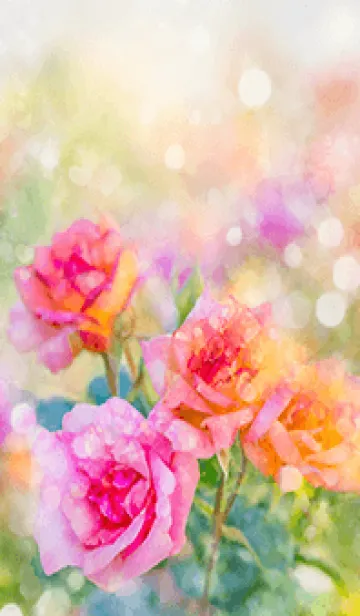 [LINE着せ替え] 薔薇(バラ)の花の着せかえ(R1475)の画像1