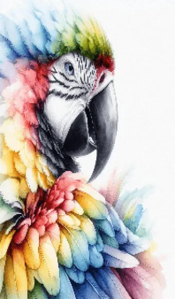 [LINE着せ替え] カラフルなオウムコンゴウインコの画像1