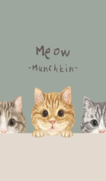 猫 - マンチカン - グリーングレーの着せ替えメイン画像