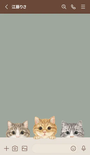 [LINE着せ替え] 猫 - マンチカン - グリーングレーの画像2