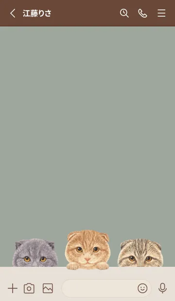 [LINE着せ替え] 猫 - スコティッシュ - グリーングレーの画像2