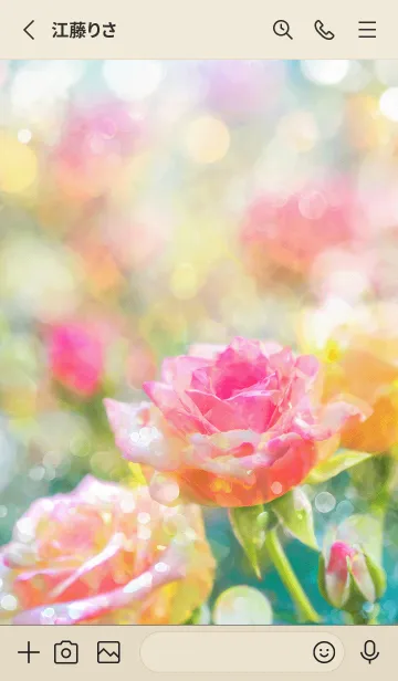 [LINE着せ替え] 薔薇(バラ)の花の着せかえ(R1492)の画像2