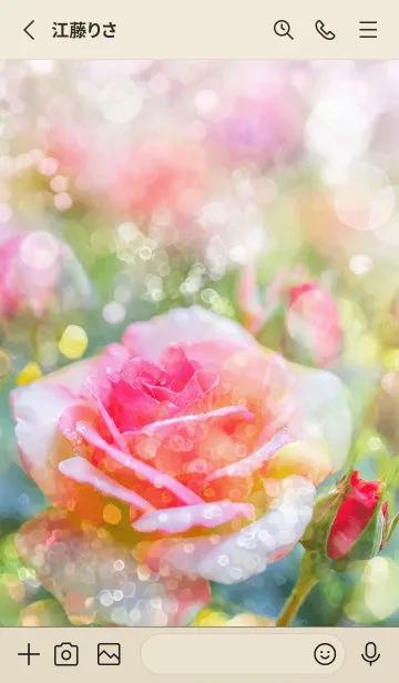 [LINE着せ替え] 薔薇(バラ)の花の着せかえ(R1498)の画像2