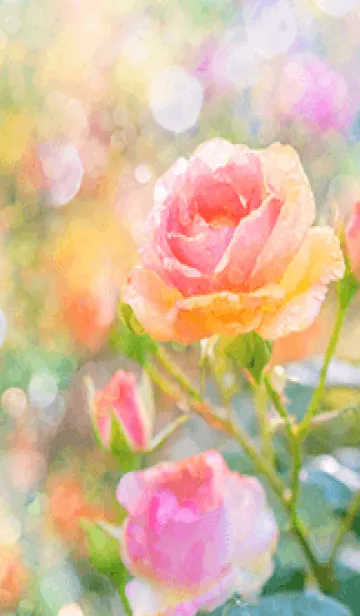 [LINE着せ替え] 薔薇(バラ)の花の着せかえ(R1510)の画像1