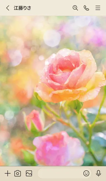 [LINE着せ替え] 薔薇(バラ)の花の着せかえ(R1510)の画像2