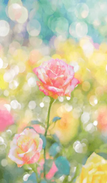 [LINE着せ替え] 薔薇(バラ)の花の着せかえ(R1513)の画像1