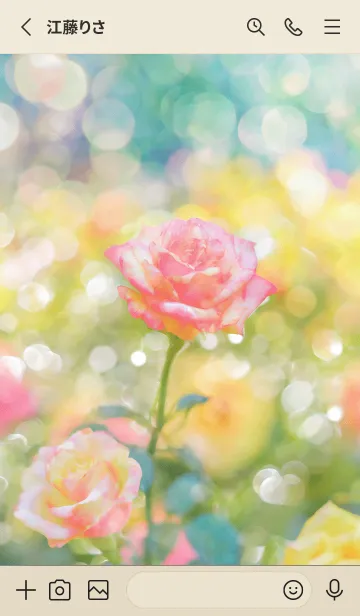 [LINE着せ替え] 薔薇(バラ)の花の着せかえ(R1513)の画像2