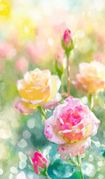 [LINE着せ替え] 薔薇(バラ)の花の着せかえ(R1518)の画像1