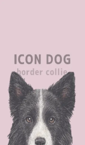 [LINE着せ替え] ICON DOG - ボーダーコリー - PASTEL PK/03の画像1