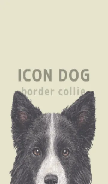 [LINE着せ替え] ICON DOG - ボーダーコリー - PASTEL YE/03の画像1