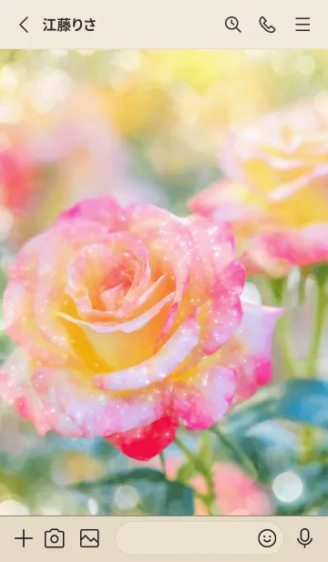 [LINE着せ替え] 薔薇(バラ)の花の着せかえ(R1520)の画像2