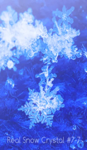 [LINE着せ替え] Real Snow Crystal #7-7の画像1