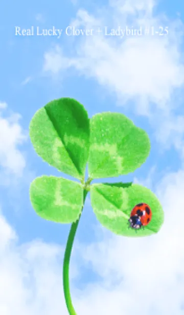 [LINE着せ替え] 本物ラッキークローバー+Ladybird #1-25の画像1