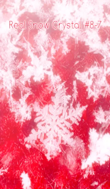 [LINE着せ替え] Real Snow Crystal #8-7の画像1