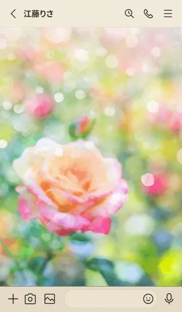 [LINE着せ替え] 薔薇(バラ)の花の着せかえ(R1535)の画像2