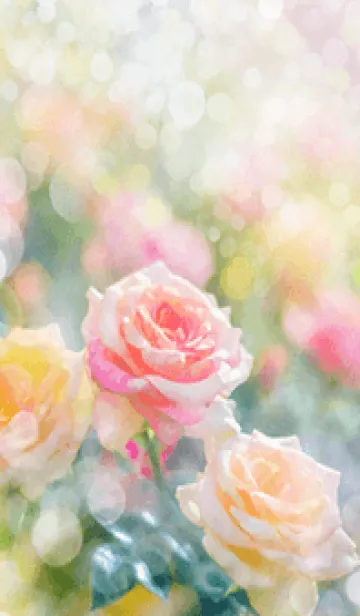 [LINE着せ替え] 薔薇(バラ)の花の着せかえ(R1536)の画像1