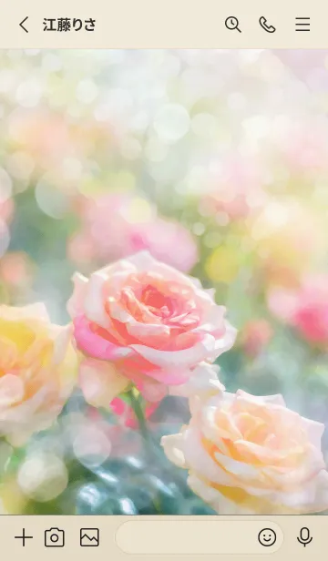 [LINE着せ替え] 薔薇(バラ)の花の着せかえ(R1536)の画像2