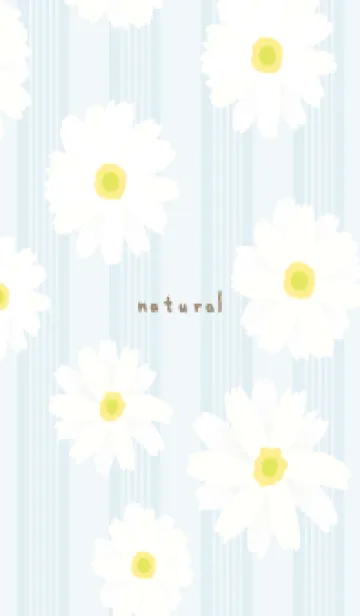 [LINE着せ替え] 白いマーガレット シンプル26の画像1