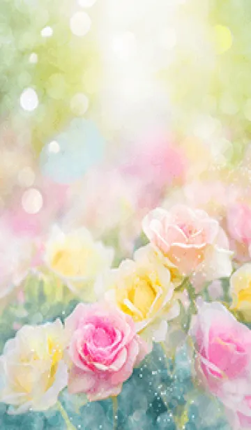 [LINE着せ替え] 薔薇(バラ)の花の着せかえ(R1542)の画像1