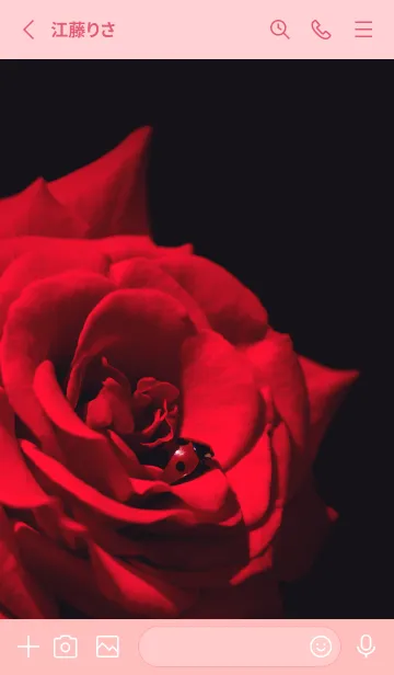 [LINE着せ替え] Ladybird Symbol of good luck #7-22の画像2