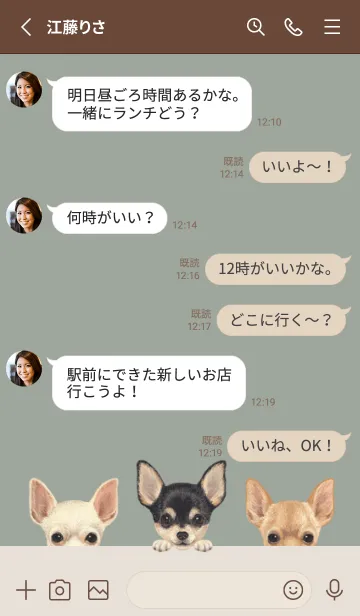 [LINE着せ替え] ワンワン！- チワワ - グリーングレーの画像3