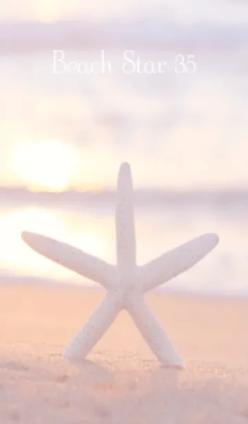 [LINE着せ替え] BeachStar 35の画像1
