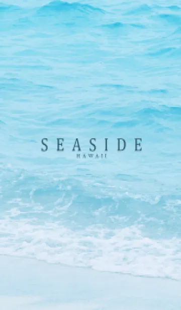 [LINE着せ替え] SEASIDE HAWAII-MEKYM 10の画像1