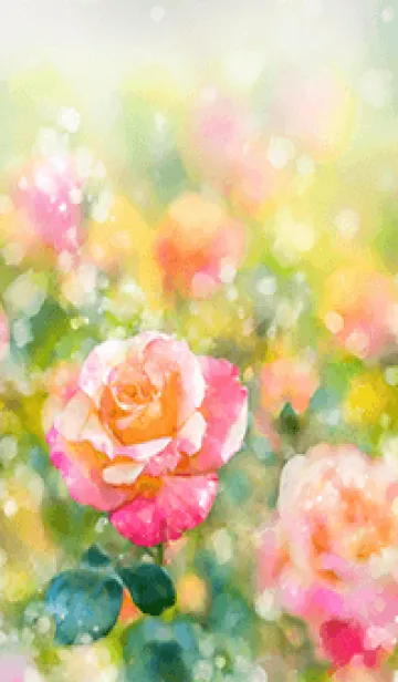 [LINE着せ替え] 薔薇(バラ)の花の着せかえ(R1570)の画像1