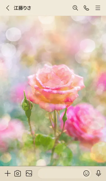 [LINE着せ替え] 薔薇(バラ)の花の着せかえ(R1572)の画像2