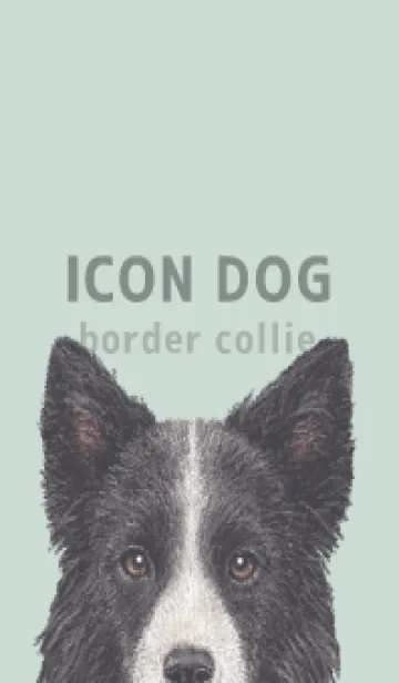 [LINE着せ替え] ICON DOG - ボーダーコリー - PASTEL GR/03の画像1