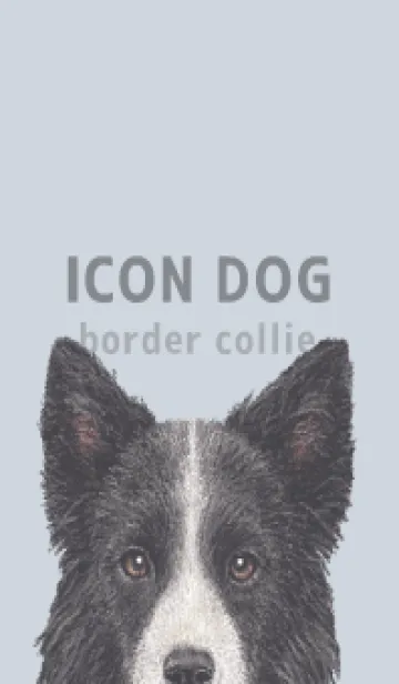 [LINE着せ替え] ICON DOG - ボーダーコリー - PASTEL BL/03の画像1