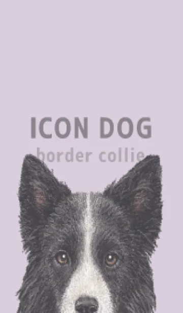 [LINE着せ替え] ICON DOG - ボーダーコリー - PASTEL PL/03の画像1