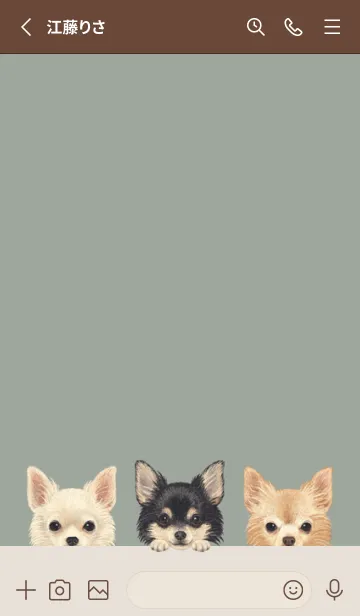 [LINE着せ替え] ワンワン！- チワワ L - グリーングレーの画像2