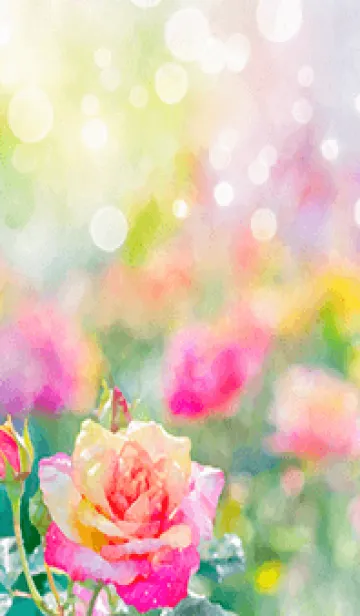 [LINE着せ替え] 薔薇(バラ)の花の着せかえ(R1568)の画像1