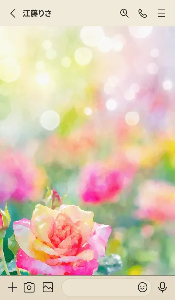 [LINE着せ替え] 薔薇(バラ)の花の着せかえ(R1568)の画像2