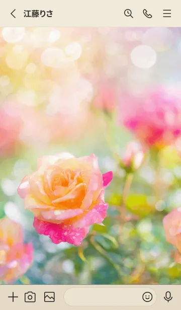 [LINE着せ替え] 薔薇(バラ)の花の着せかえ(R1588)の画像2