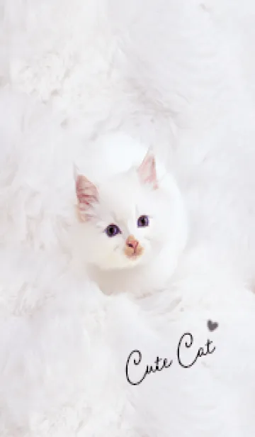 [LINE着せ替え] Greige♡ふわふわな猫02_1の画像1