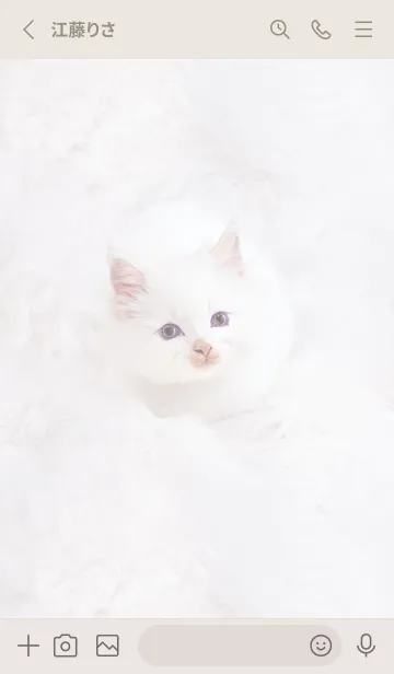 [LINE着せ替え] Greige♡ふわふわな猫02_1の画像2