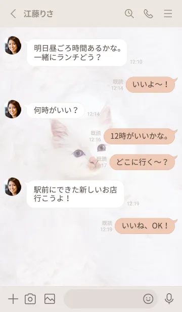 [LINE着せ替え] Greige♡ふわふわな猫02_1の画像3