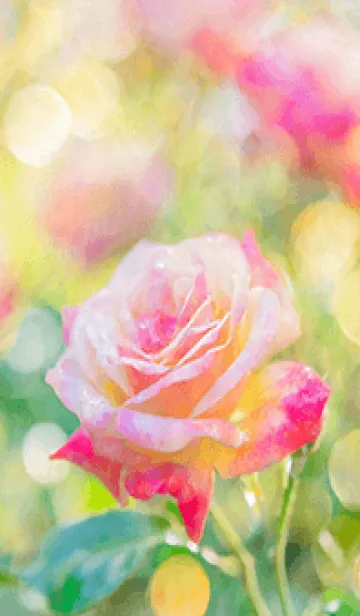 [LINE着せ替え] 薔薇(バラ)の花の着せかえ(R1596)の画像1