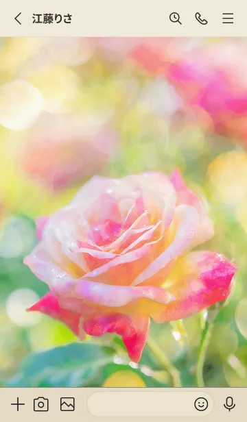 [LINE着せ替え] 薔薇(バラ)の花の着せかえ(R1596)の画像2