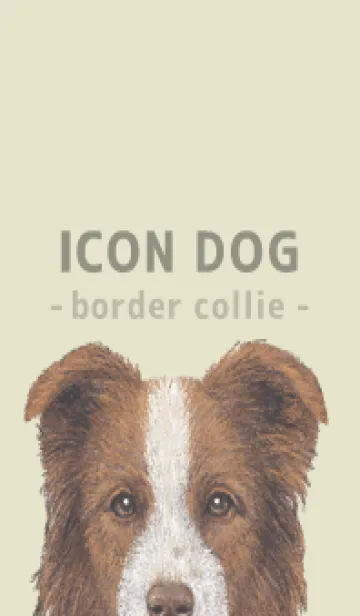 [LINE着せ替え] ICON DOG - ボーダーコリー - PASTEL YE/04の画像1