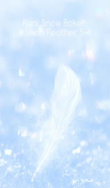 [LINE着せ替え] Real Snow Bokeh #Swan Feather 5-4の画像1