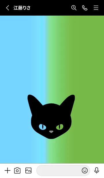 [LINE着せ替え] ブラック キャット 245の画像2