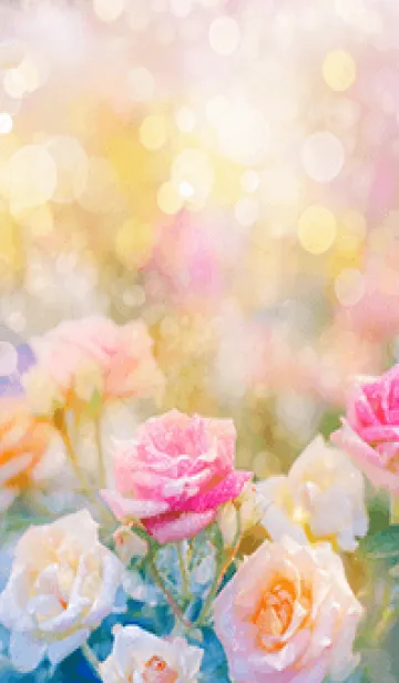 [LINE着せ替え] 薔薇(バラ)の花の着せかえ(R1639)の画像1