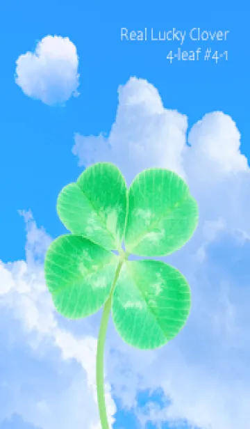 [LINE着せ替え] 本物ラッキークローバー 4-leaf #4-1の画像1