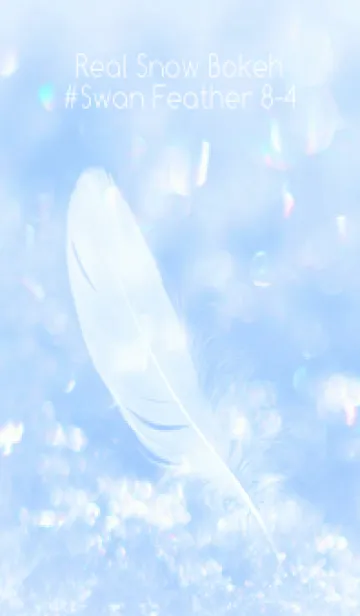 [LINE着せ替え] Real Snow Bokeh #Swan Feather 8-4の画像1